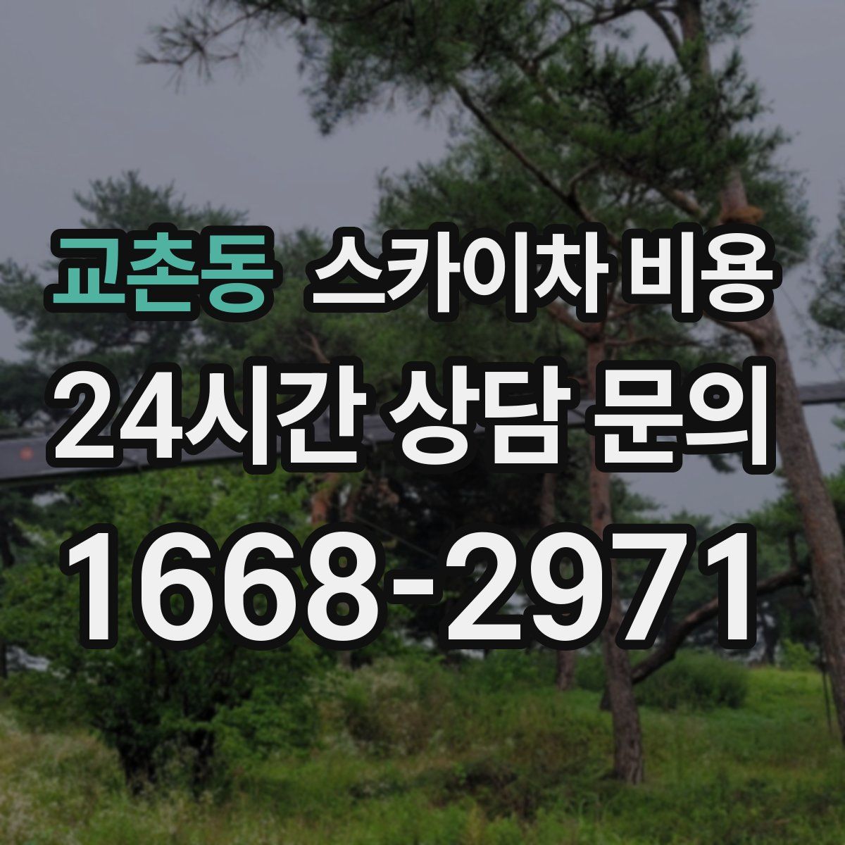 교촌동 스카이차 비용