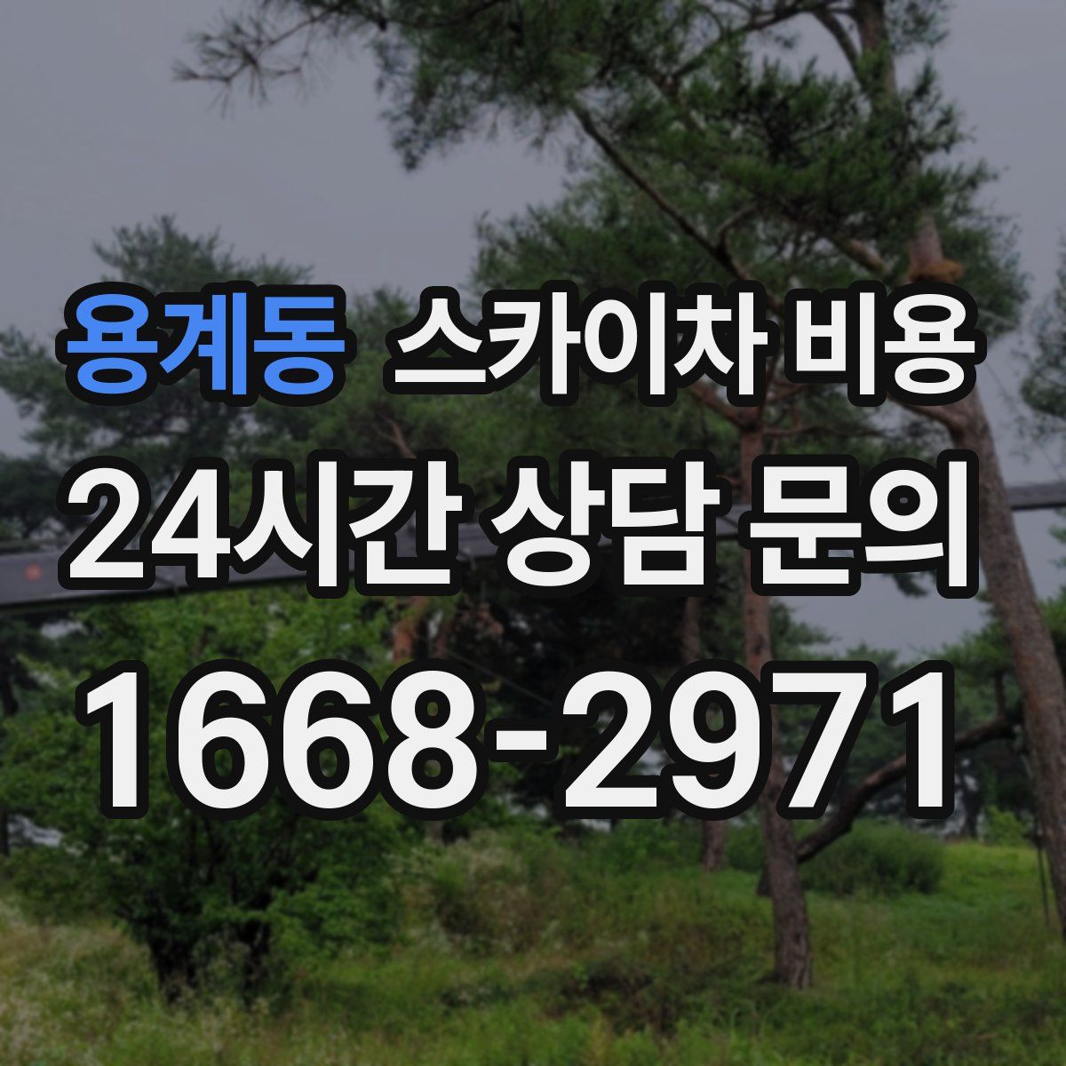 용계동 스카이차 비용