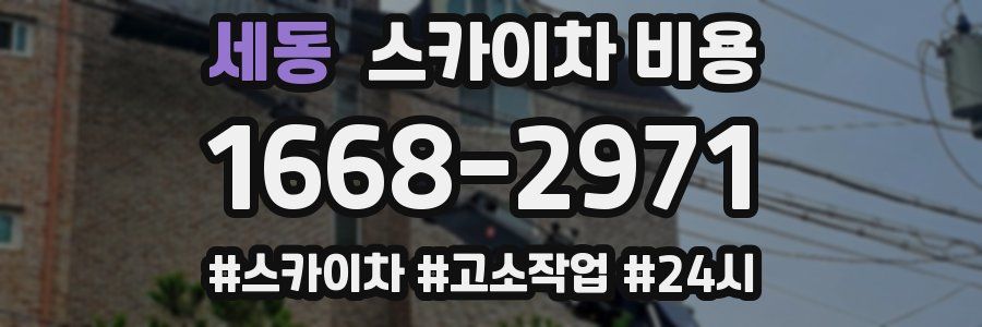 세동 스카이차 비용