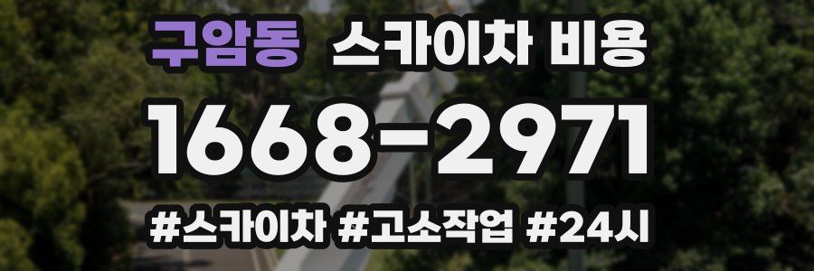 구암동 스카이차 비용