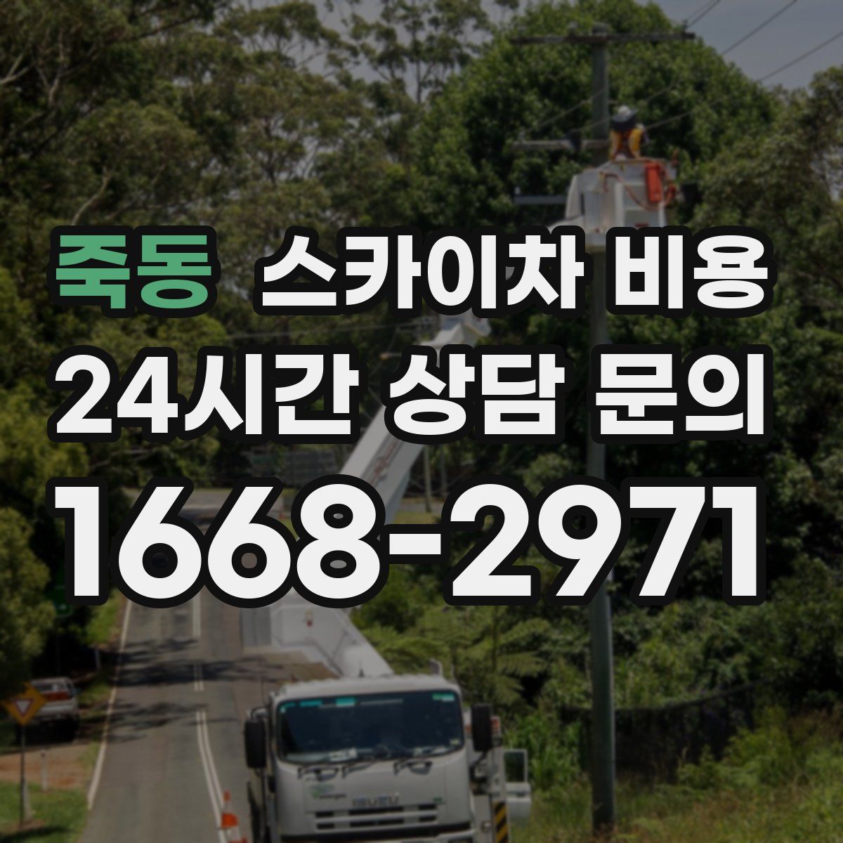 죽동 스카이차 비용