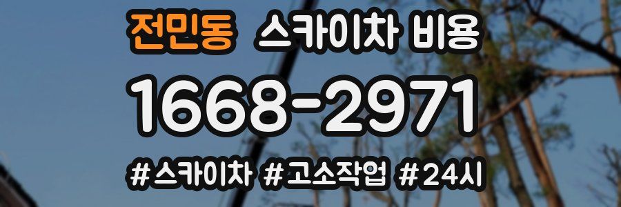 전민동 스카이차 비용