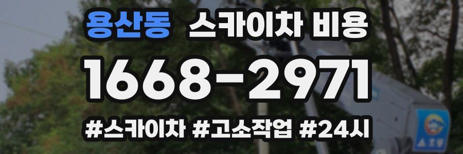 용산동 스카이차 비용