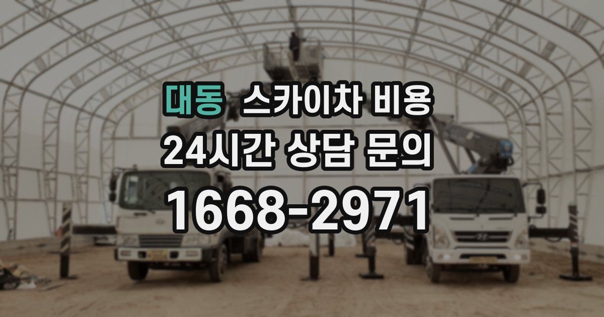 대동 스카이차 비용