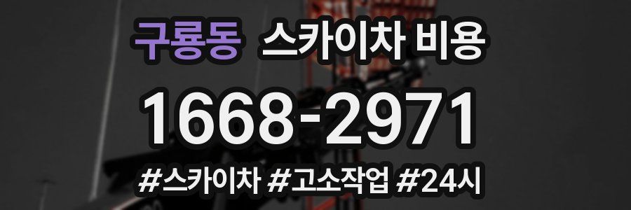 구룡동 스카이차 비용