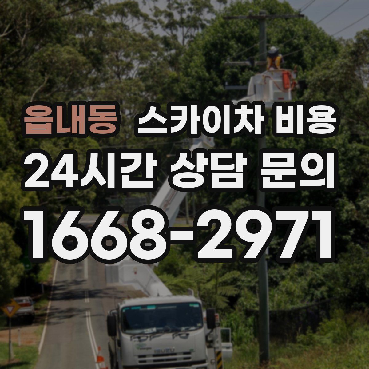 읍내동 스카이차 비용