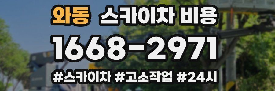 와동 스카이차 비용