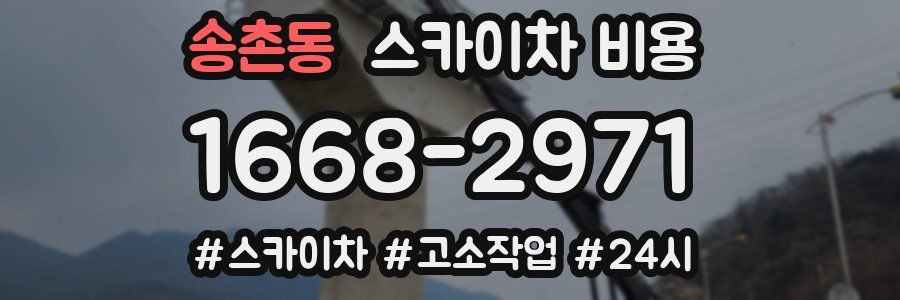 송촌동 스카이차 비용