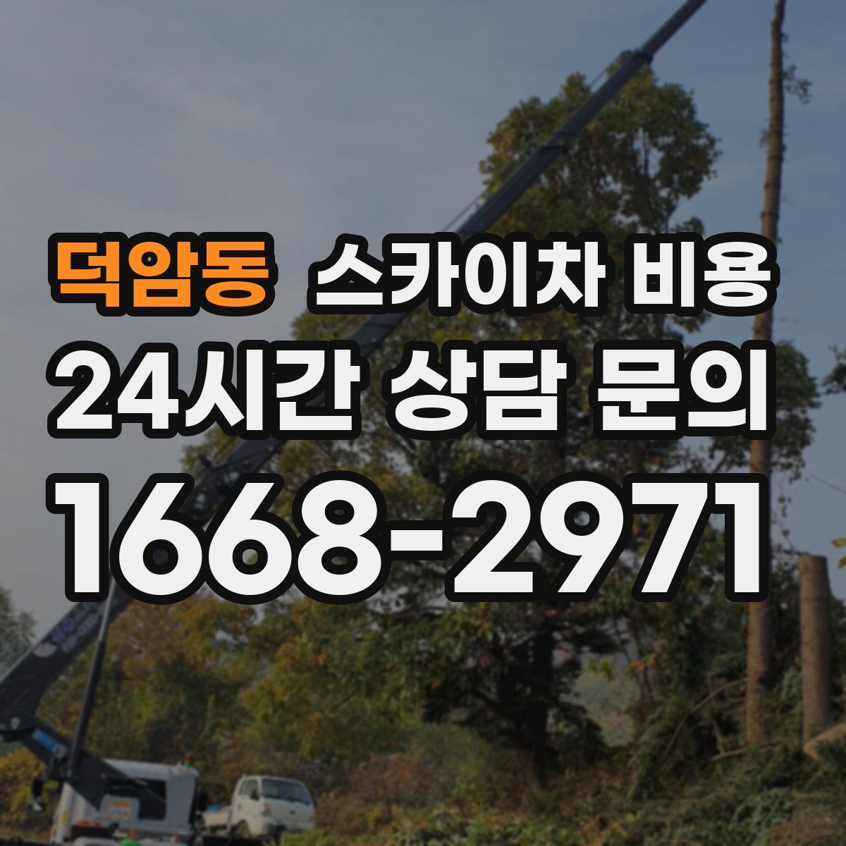 덕암동 스카이차 비용