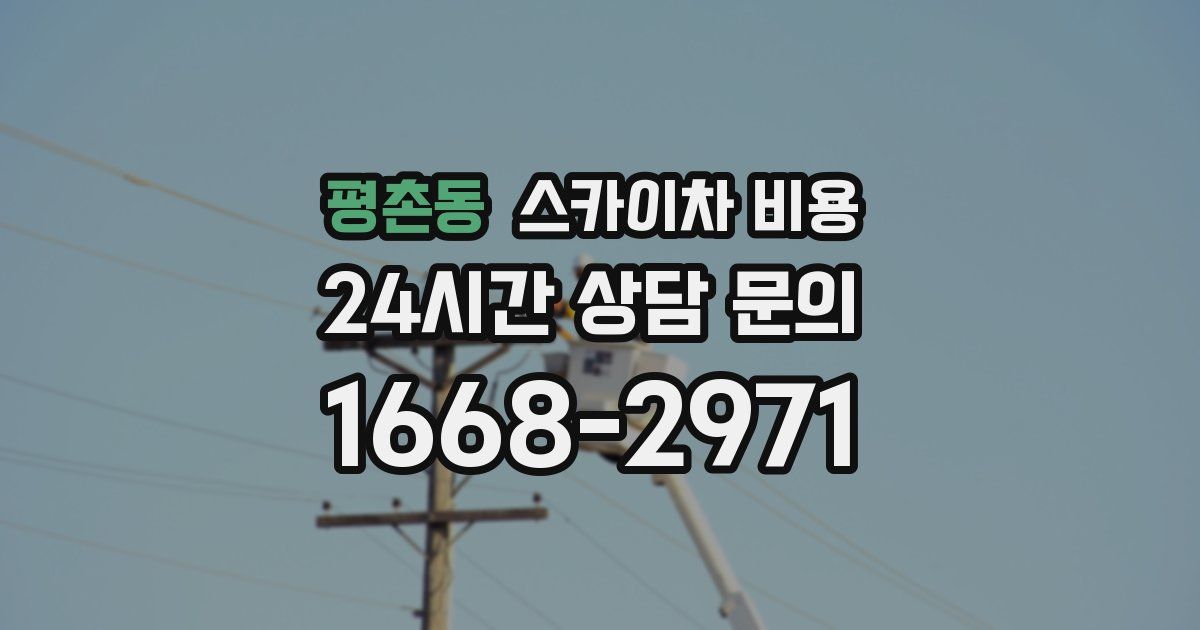 평촌동 스카이차 비용