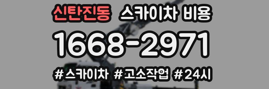 신탄진동 스카이차 비용