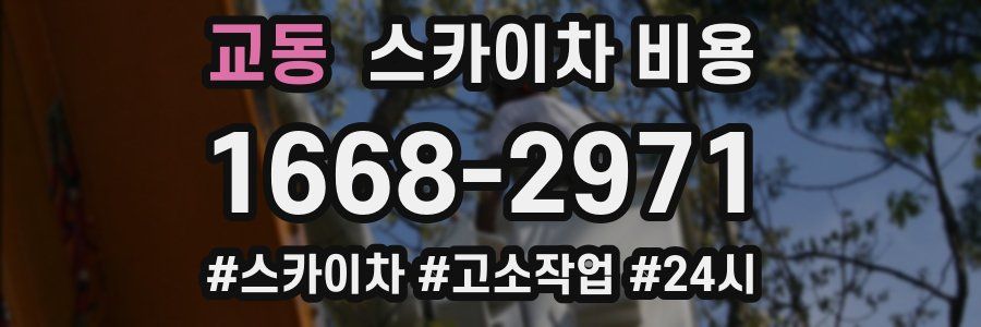 교동 스카이차 비용