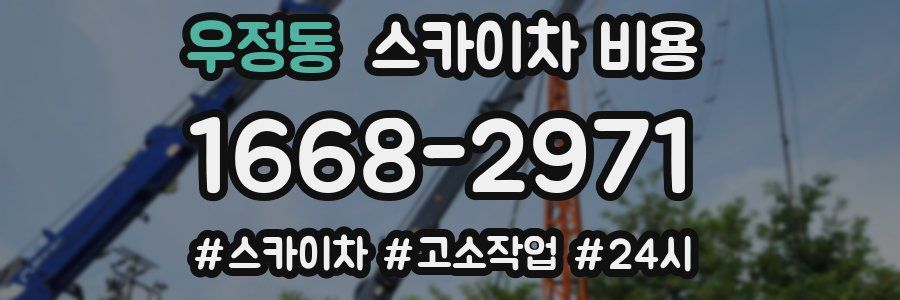 우정동 스카이차 비용