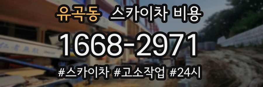 유곡동 스카이차 비용