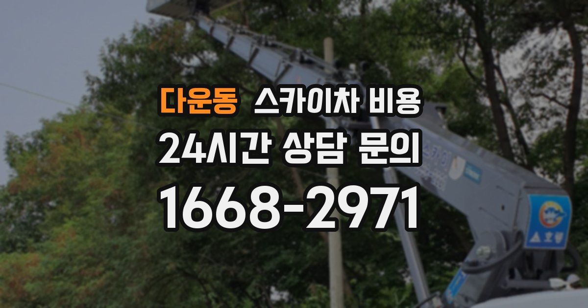 다운동 스카이차 비용