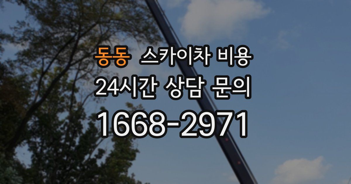 동동 스카이차 비용