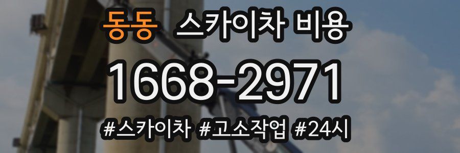 동동 스카이차 비용