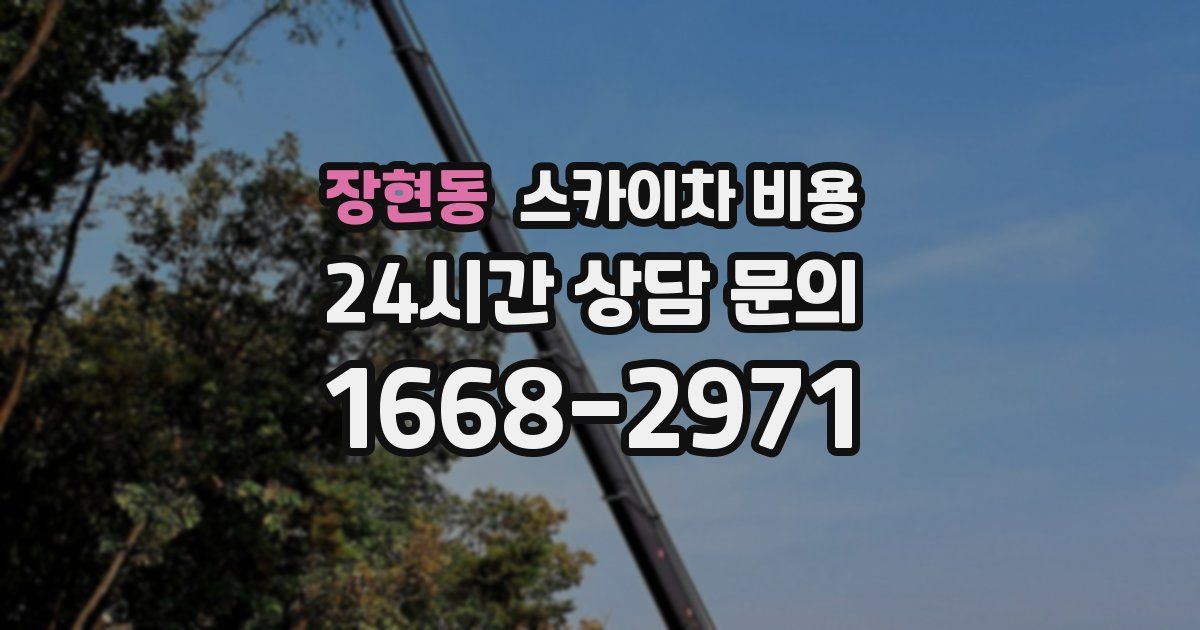 장현동 스카이차 비용