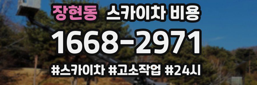 장현동 스카이차 비용