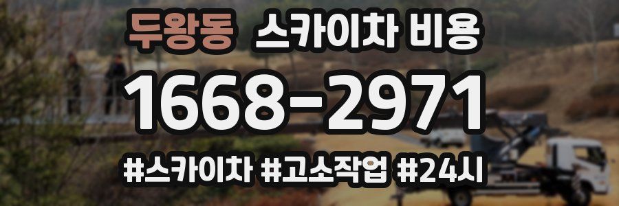 두왕동 스카이차 비용