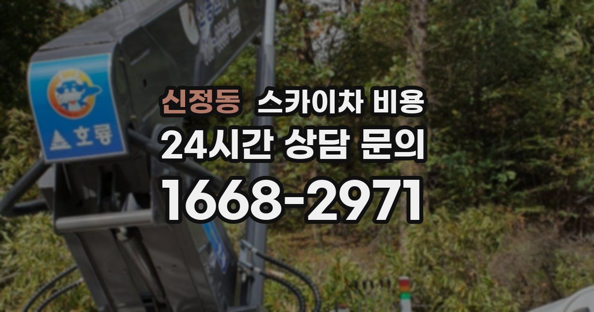 신정동 스카이차 비용