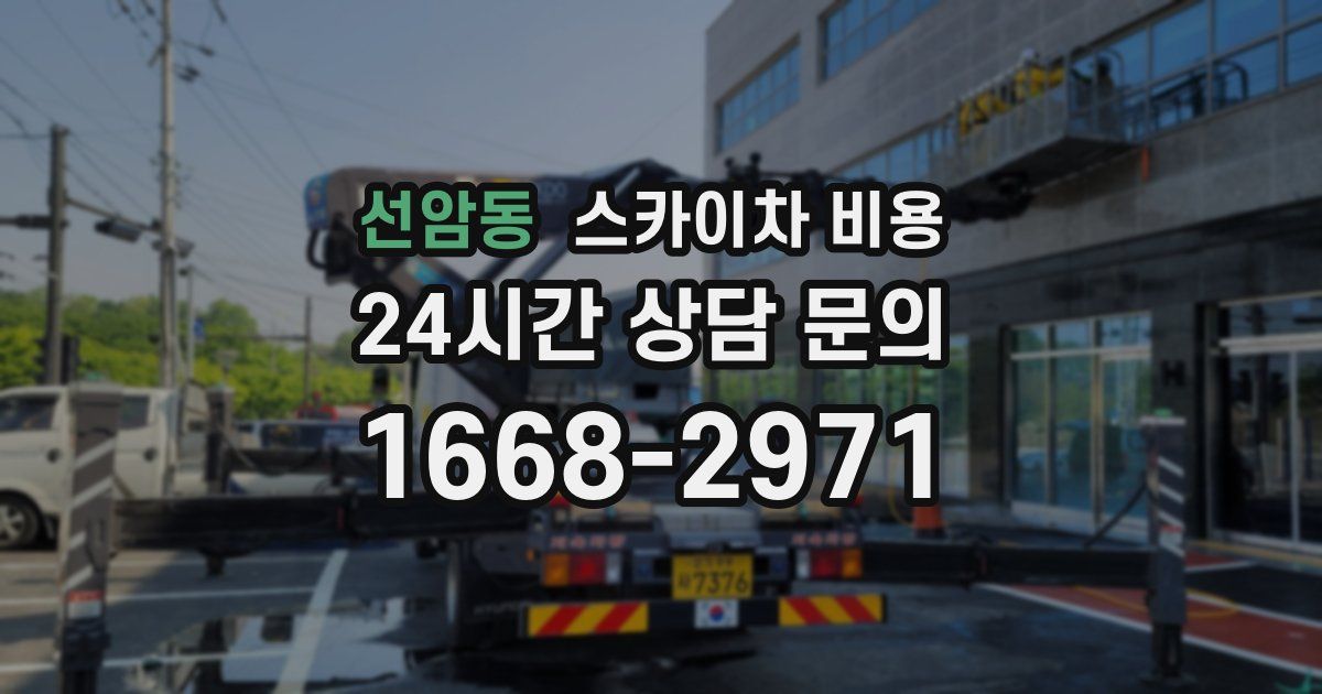 선암동 스카이차 비용