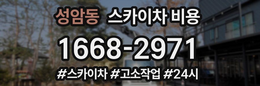 성암동 스카이차 비용