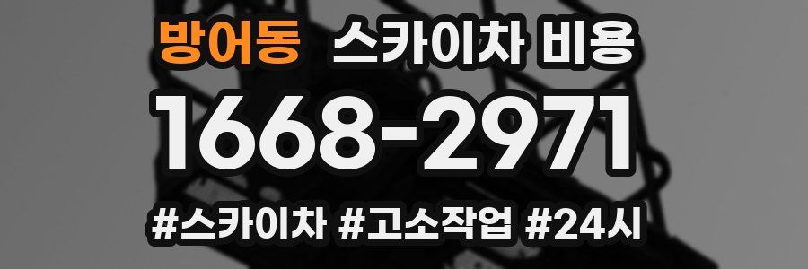 방어동 스카이차 비용