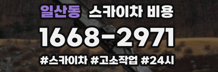 일산동 스카이차 비용