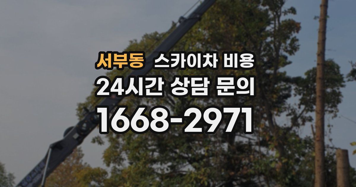 서부동 스카이차 비용