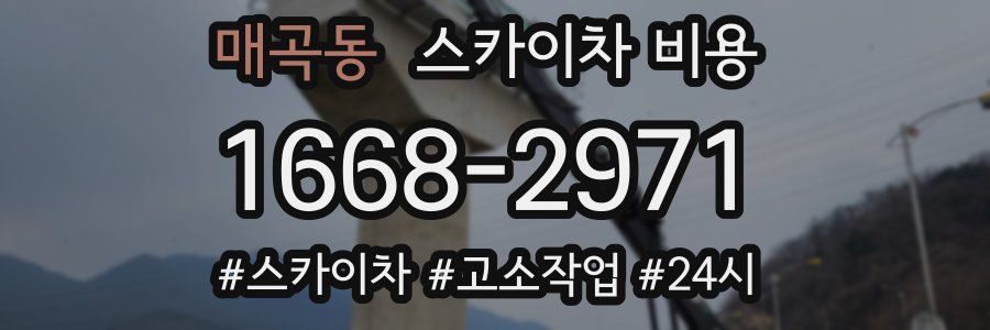 매곡동 스카이차 비용