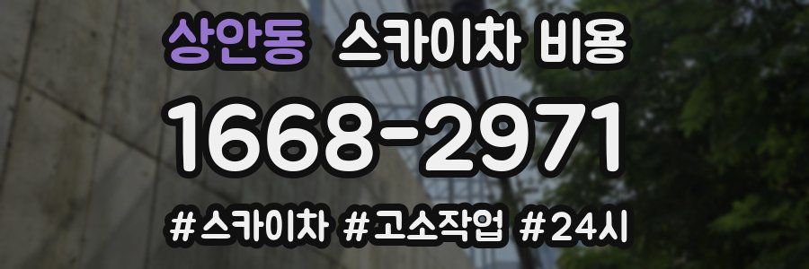 상안동 스카이차 비용