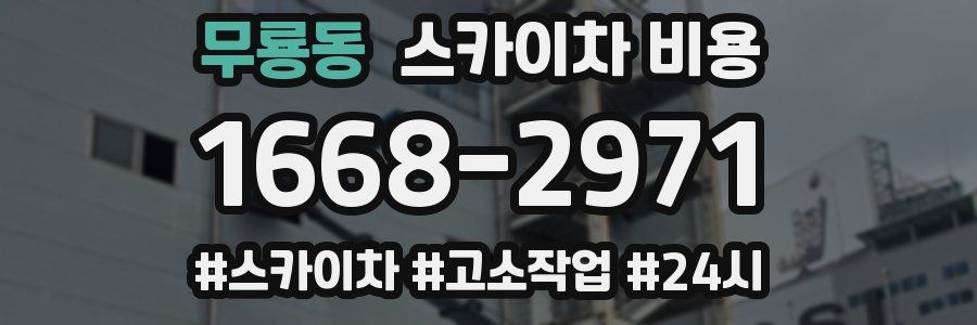 무룡동 스카이차 비용