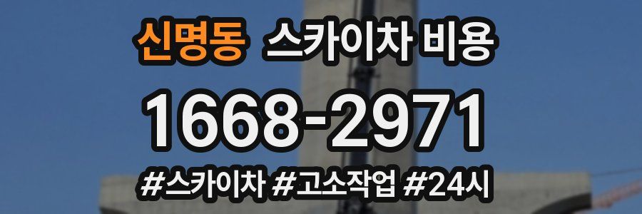 신명동 스카이차 비용