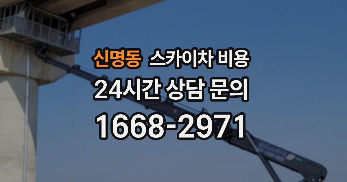 신명동 스카이차 비용