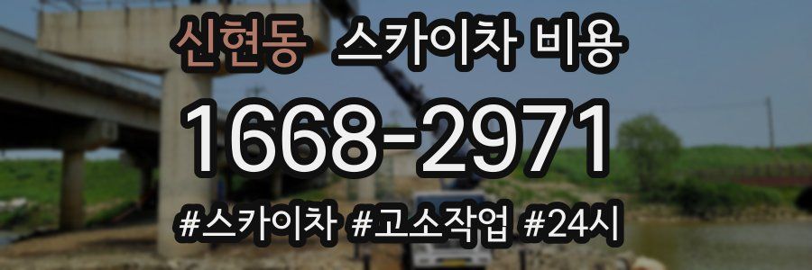 신현동 스카이차 비용