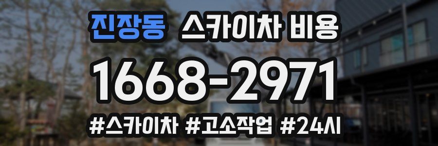 진장동 스카이차 비용