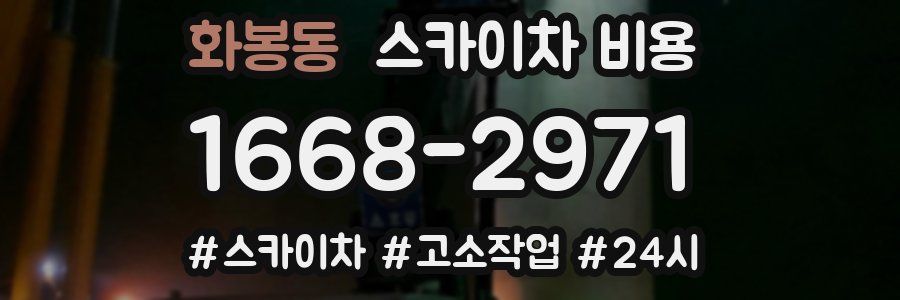 화봉동 스카이차 비용