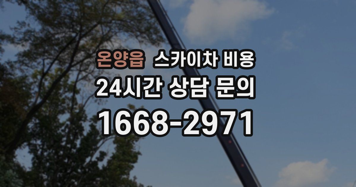 온양읍 스카이차 비용