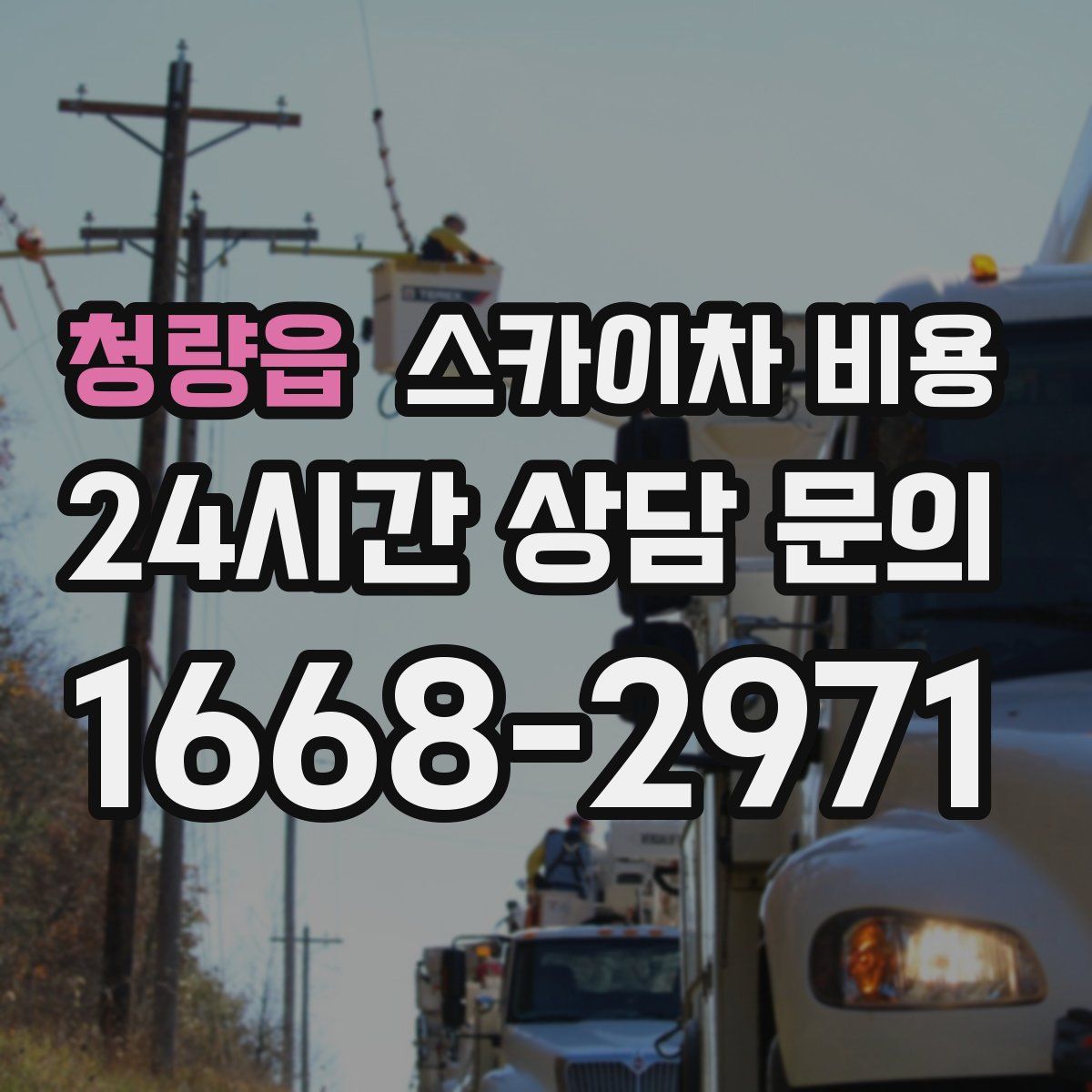 청량읍 스카이차 비용