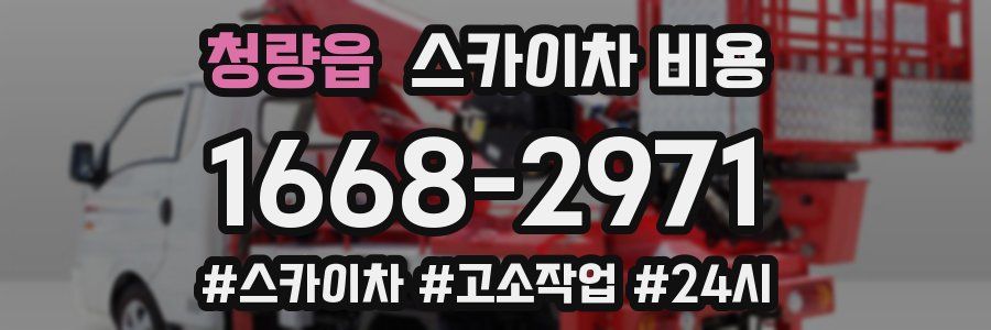 청량읍 스카이차 비용