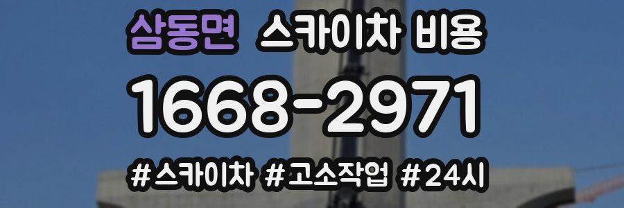 삼동면 스카이차 비용