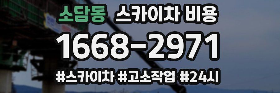 소담동 스카이차 비용