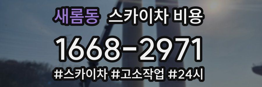 새롬동 스카이차 비용