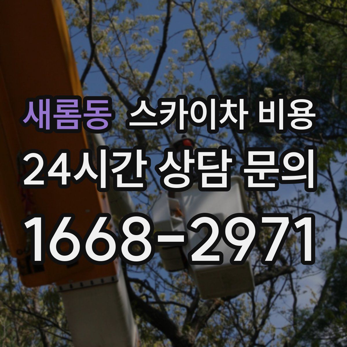 새롬동 스카이차 비용