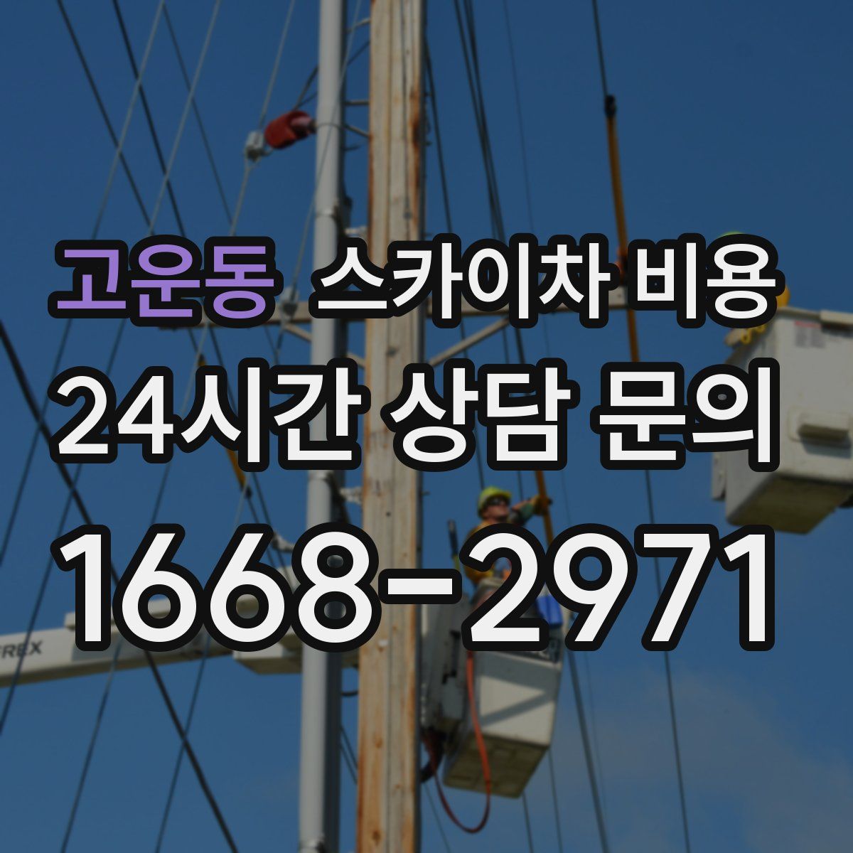 고운동 스카이차 비용