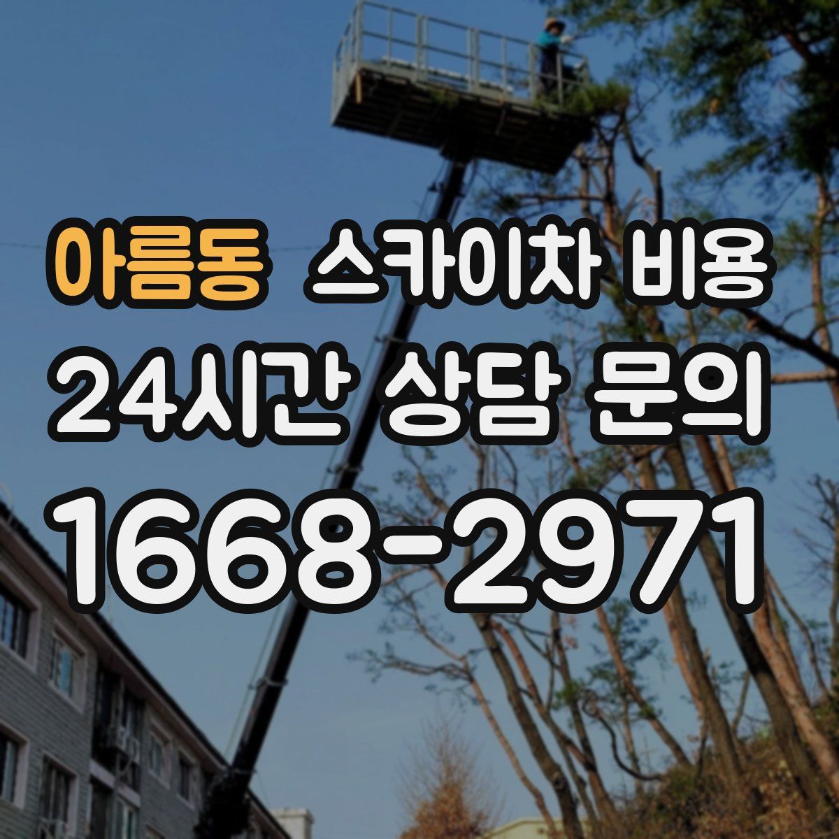 아름동 스카이차 비용