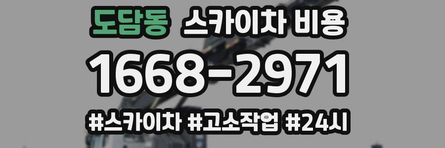 도담동 스카이차 비용