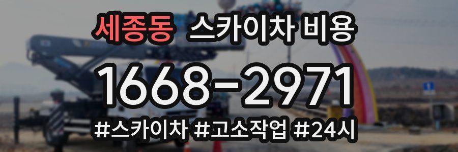 세종동 스카이차 비용