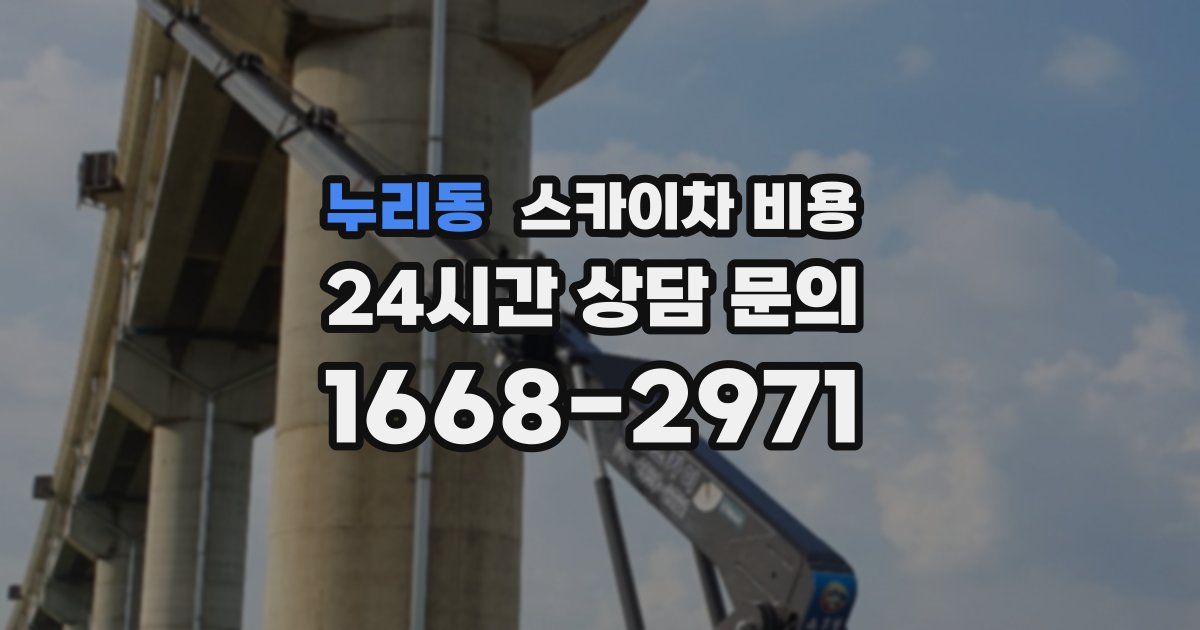 누리동 스카이차 비용